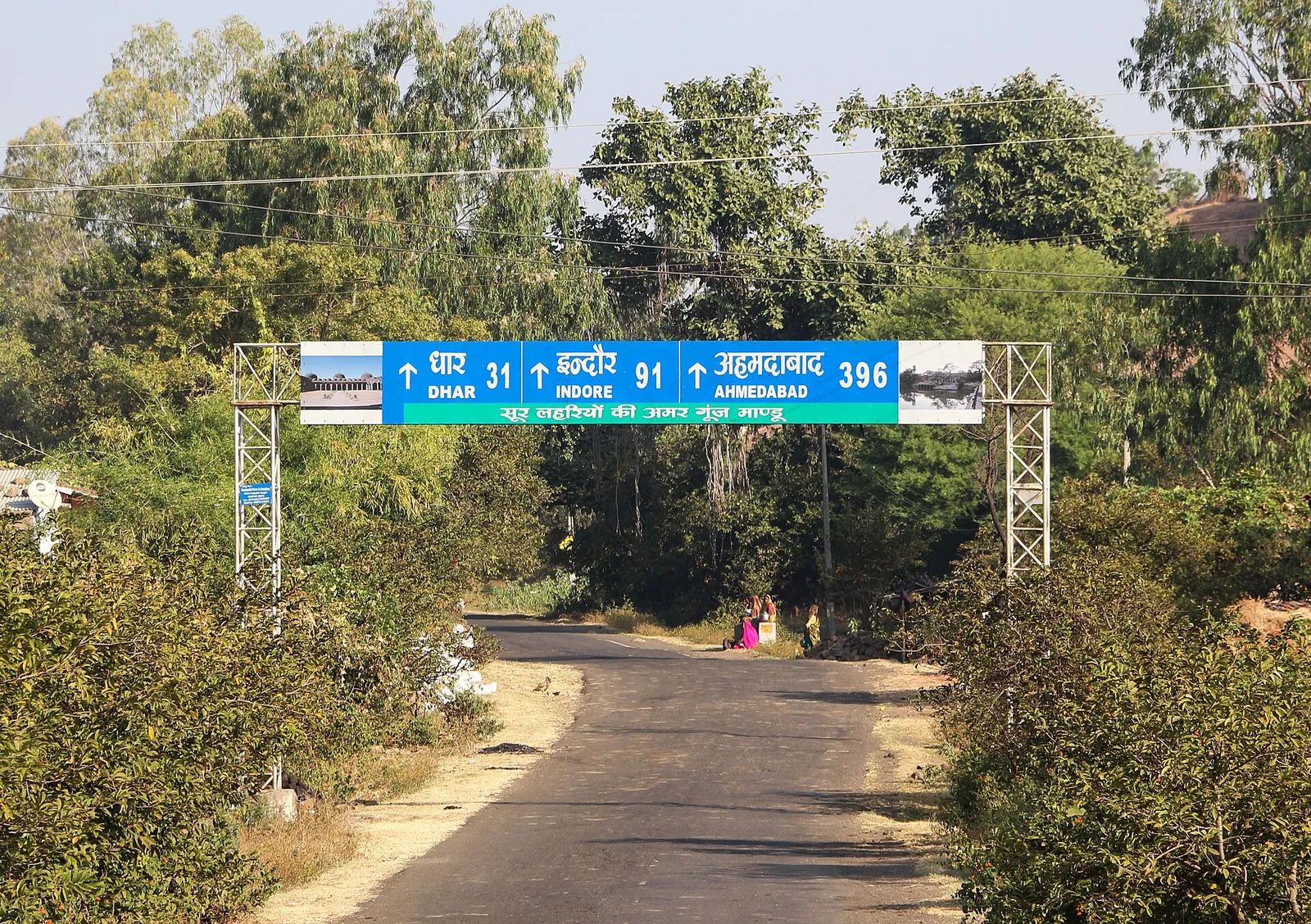 इंदौर मेट्रो: रानी सराय में 200 पेड़ों की कटाई-छंटाई शुरू, तोतों के बसेरों पर संकट
